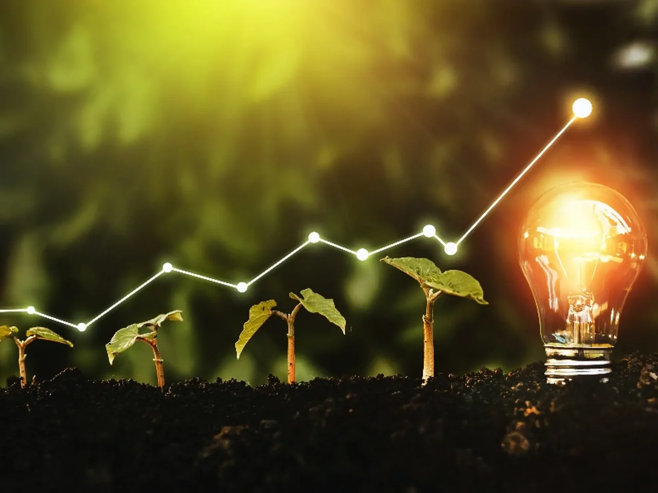The Environmental Impact of Energy-Efficient Products in Middle Eastern Industries